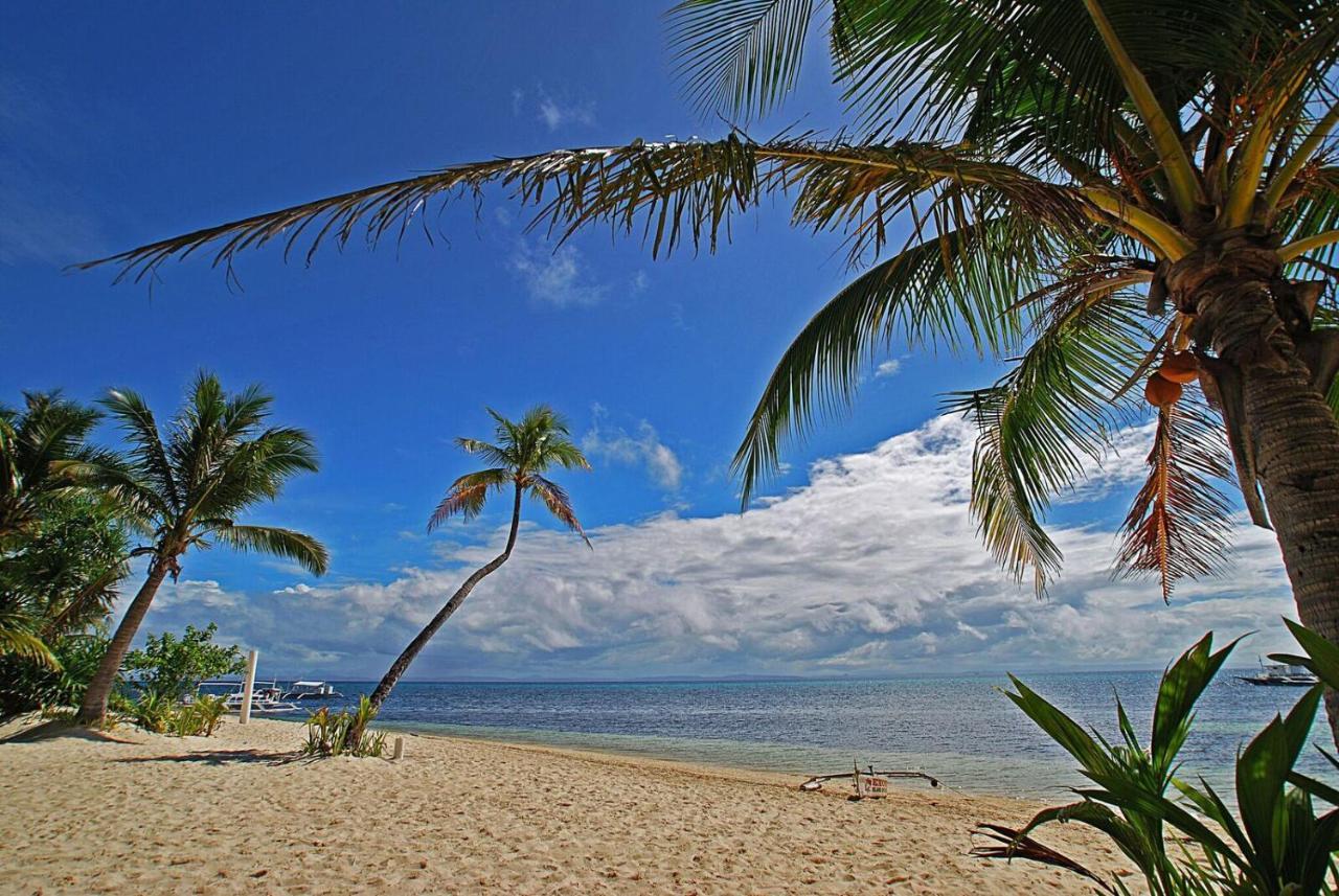 Malapascua Exotic Island Dive Resort Daanbantayan 외부 사진